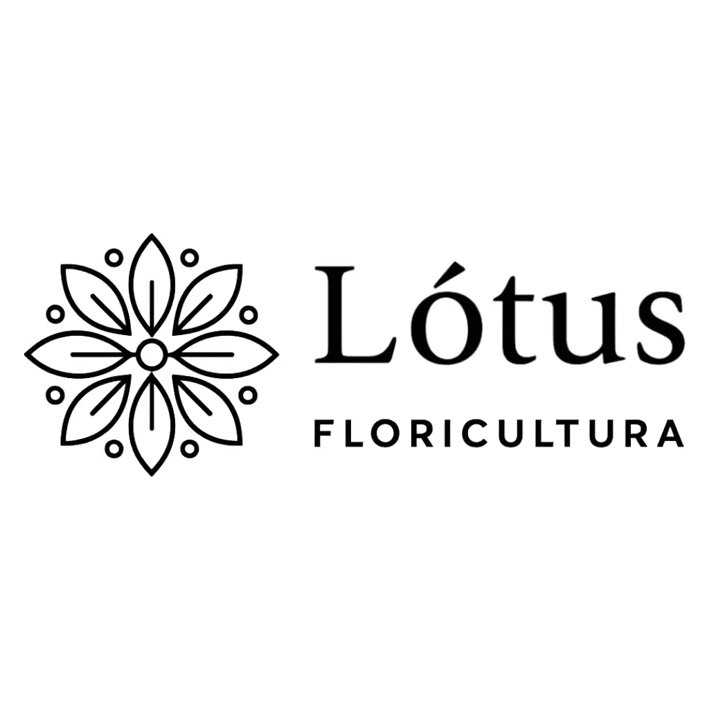 Lotus Floricultura